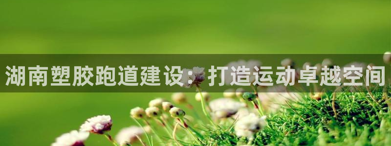 尊龙d88官网QU来就送38：湖南塑胶跑道建设：打造