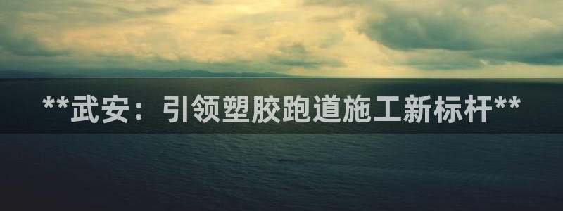尊龙凯时人生就是博·(中国)官网官：**武安：引领塑胶跑道施工新标杆**