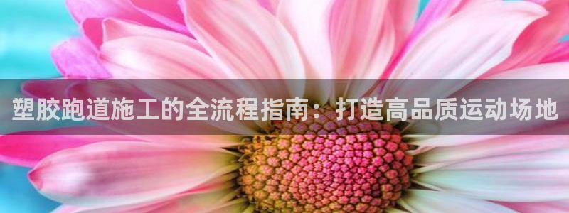 AG尊龙注册在线游戏：塑胶跑道施工的全流程指南：打造高品质运动场地