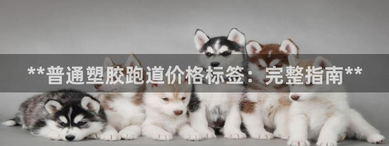 凯时国际app登录：**普通塑胶跑道价格标签：完整指南**