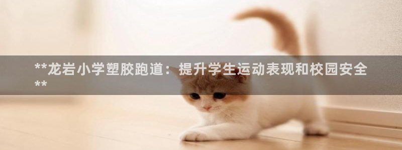 尊龙凯时-人生就是博中国官网首页：**龙岩小学塑胶跑道：提升学生运动表现和校园安全
**