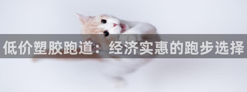 尊龙凯时d5138：低价塑胶跑道：经济实惠的跑步选择