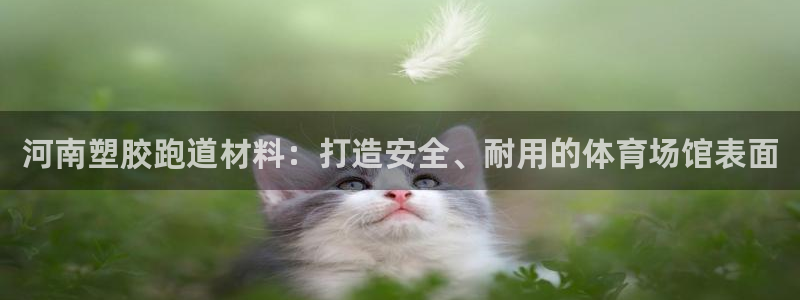 尊龙凯时登录：河南塑胶跑道材料：打造安全、耐用的体育场馆表面