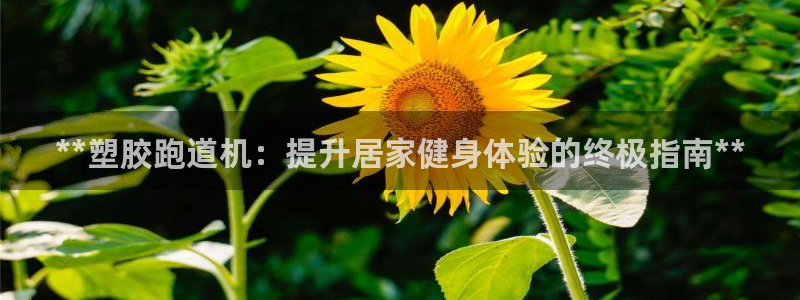 尊龙凯时人生就是博·(中国)：**塑胶跑道机：提升居