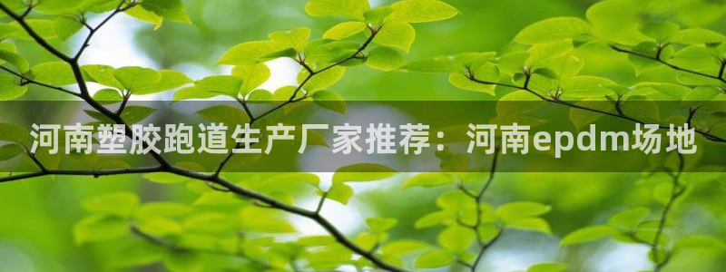 尊龙凯时 - 人生就是搏手机登录：河南塑胶跑道生产厂