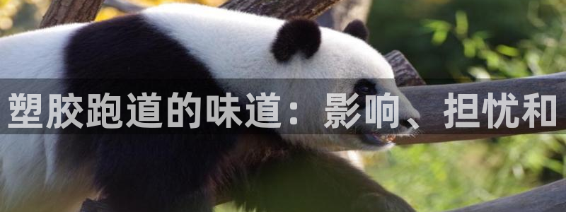 尊龙凯时网站首页手机登录：塑胶跑道的味道：影响、担忧