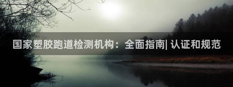 尊龙凯时ag旗舰：国家塑胶跑道检测机构：全面指南| 