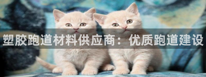 尊龙凯时v7要冲多少：塑胶跑道材料供应商：优质跑道建