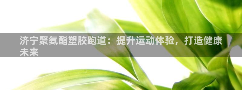 尊龙实业有限公司：济宁聚氨酯塑胶跑道：提升运动体验，