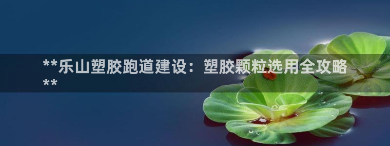 尊龙人生就是博手机版下载：**乐山塑胶跑道建设：塑胶颗粒选用全攻略
**