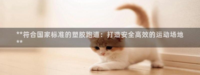 尊龙传奇英文怎么写：**符合国家标准的塑胶跑道：打造