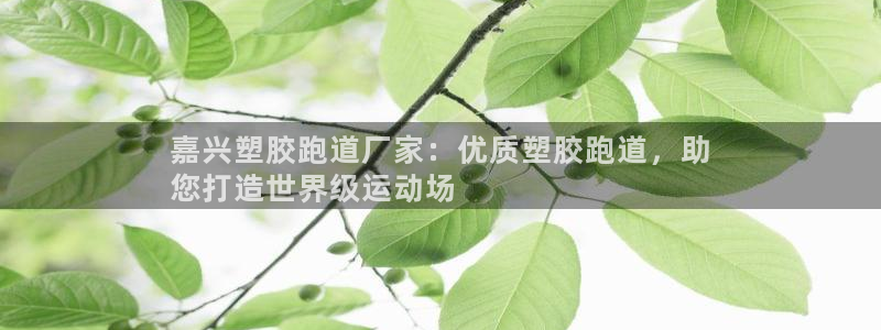 尊龙 am i blue：嘉兴塑胶跑道厂家：优质塑胶跑道，助