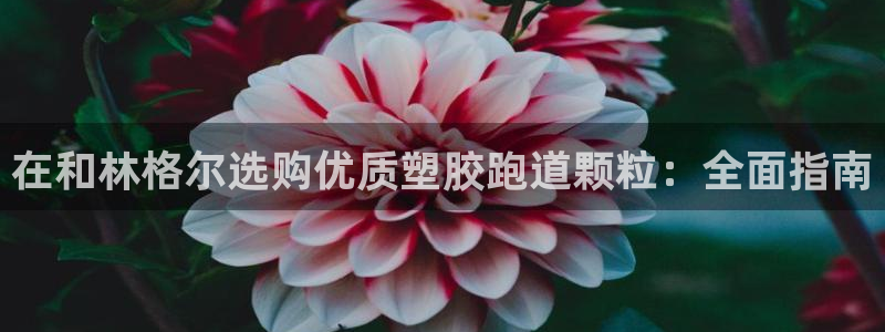 尊龙app注册官网：在和林格尔选购优质塑胶跑道颗粒：全面指南