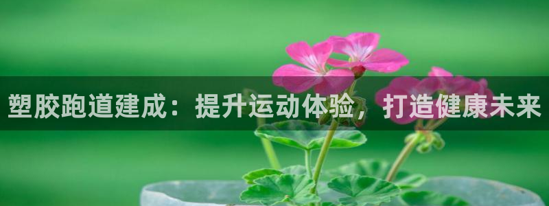 尊龙是什么软件：塑胶跑道建成：提升运动体验，打造健康