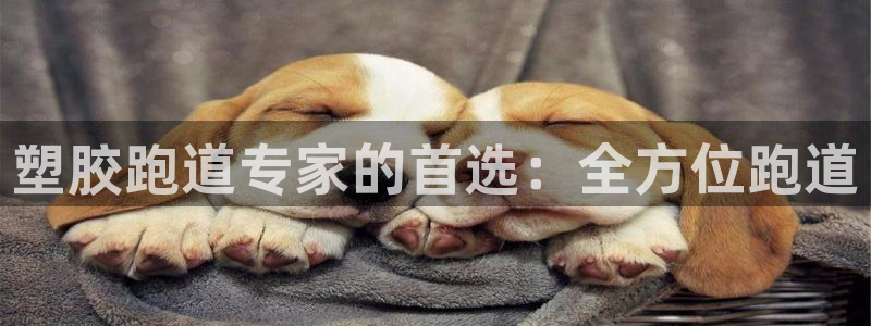 凯时k88最新：塑胶跑道专家的首选：全方位跑道
