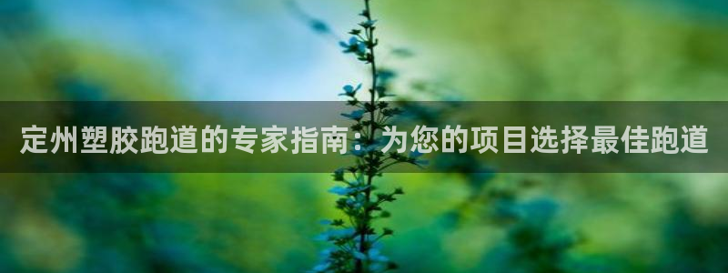 K66凯时国际平台官网：定州塑胶跑道的专家指南：为您的项目选择最佳跑道