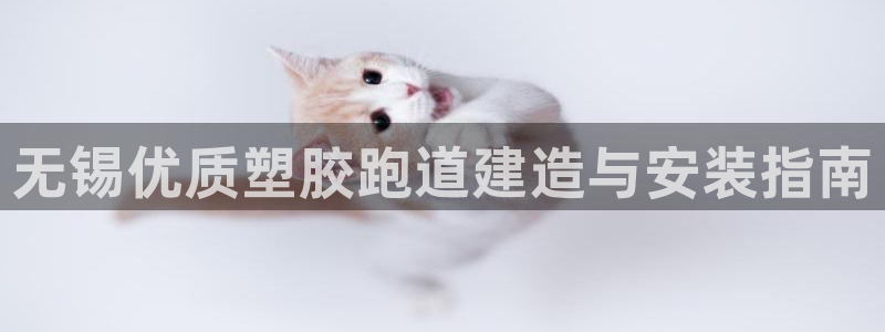 尊龙网页：无锡优质塑胶跑道建造与安装指南