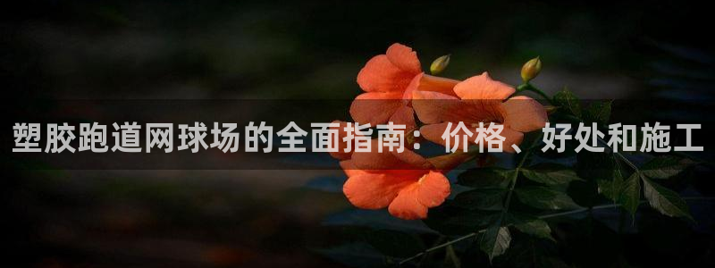 尊龙凯时的企业文化：塑胶跑道网球场的全面指南：价格、好处和施工
