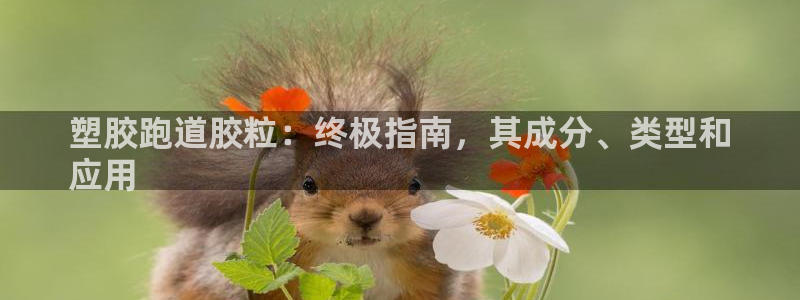 尊龙app|首选agdaohang：塑胶跑道胶粒：终极指南，其成分、类型和
应用