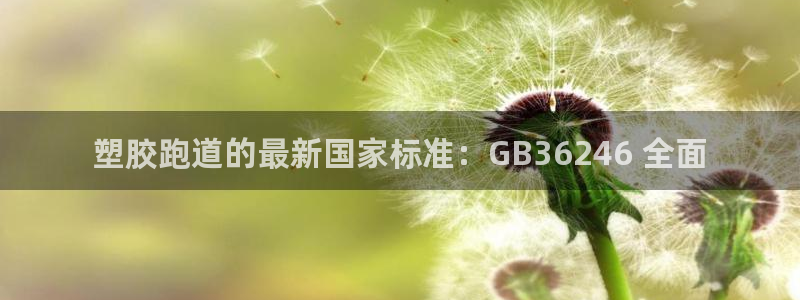 尊龙凯时·中国官方网站：塑胶跑道的最新国家标准：GB