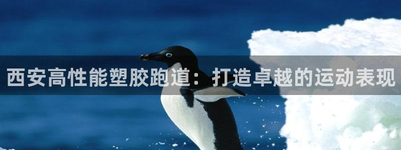 尊龙凯时平台官网：西安高性能塑胶跑道：打造卓越的运动