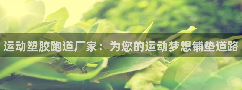 尊龙app认可ag发财网：运动塑胶跑道厂家：为您的运