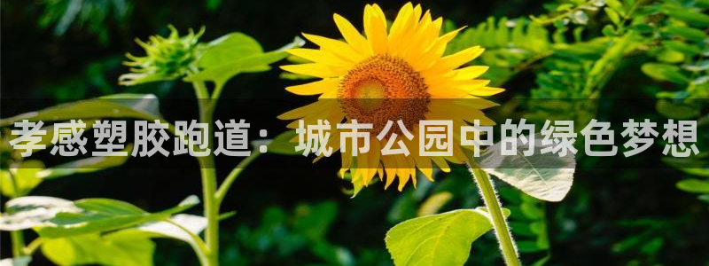 尊龙凯时网站不让提款