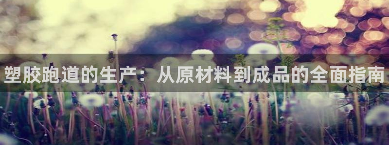 尊龙ag旗舰厅登录 租车app下载：塑胶跑道的生产：