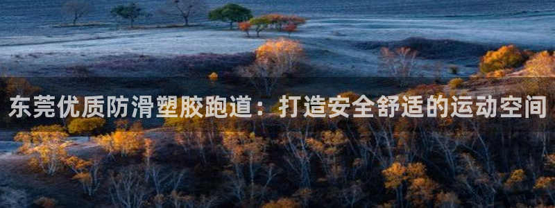 尊龙凯时的最新消息：东莞优质防滑塑胶跑道：打造安全舒适的运动