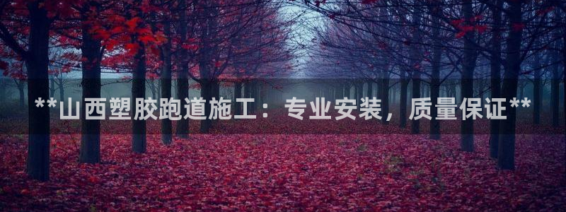 尊龙凯时是大平台吗：**山西塑胶跑道施工：专业安装，质量保证