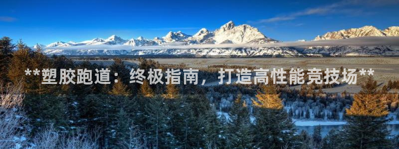 尊龙凯时登陆网址：**塑胶跑道：终极指南，打造高性能