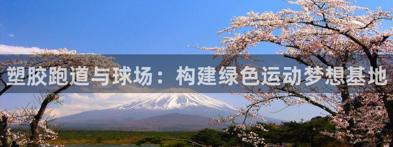 尊龙app最新版本官网