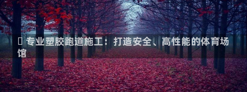 尊龙凯时登入首页：✅ 专业塑胶跑道施工：打造安全、高性能的体