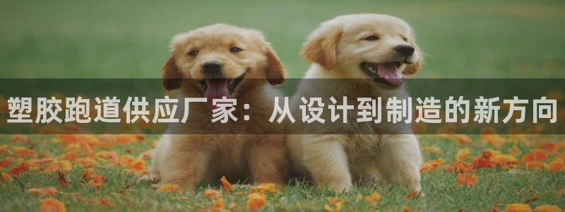 尊龙t300和t400哪个好