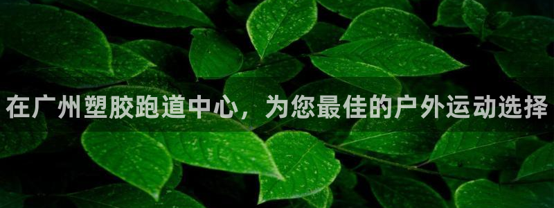 凯时k8官网首页