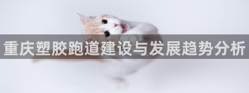 尊龙手机端下载