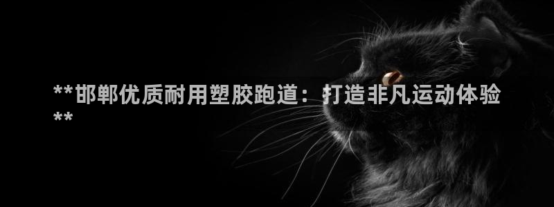 尊龙官方平台：**邯郸优质耐用塑胶跑道：打造非凡运动