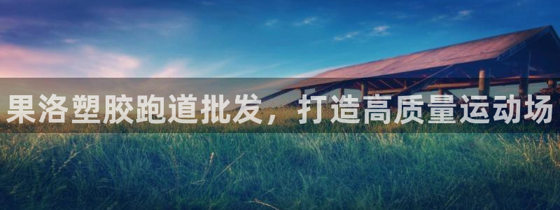 尊龙d88平台版下载：果洛塑胶跑道批发，打造高质量运动场