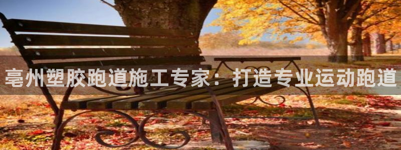 ag尊龙官方网站app：亳州塑胶跑道施工专家：打造专