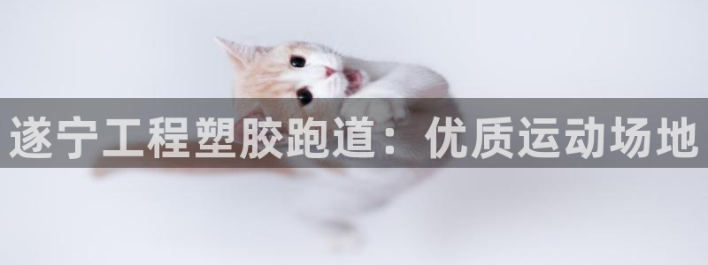 尊龙网站下分慢：遂宁工程塑胶跑道：优质运动场地