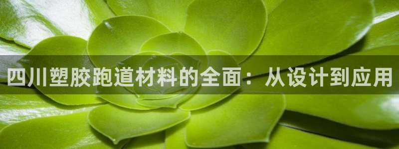 尊龙d88官网选RA来就送38