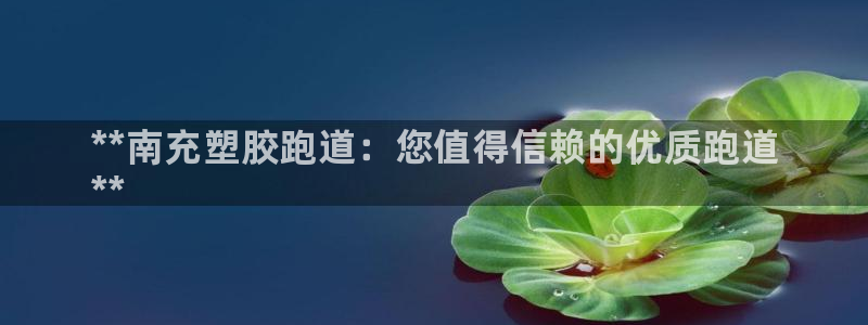 尊龙百度百科：**南充塑胶跑道：您值得信赖的优质跑道
**