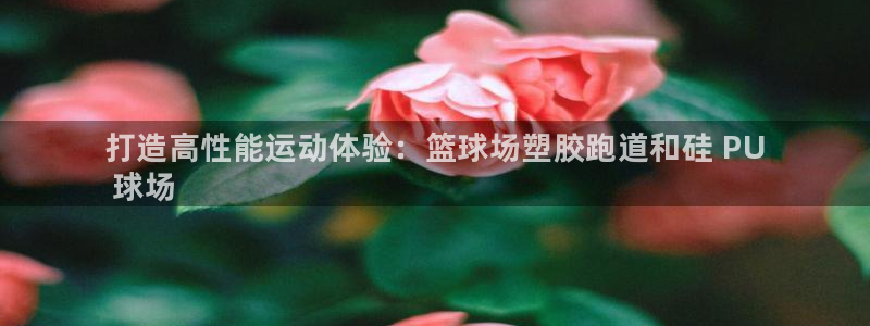 尊龙凯时人生就是博·(中国)官网