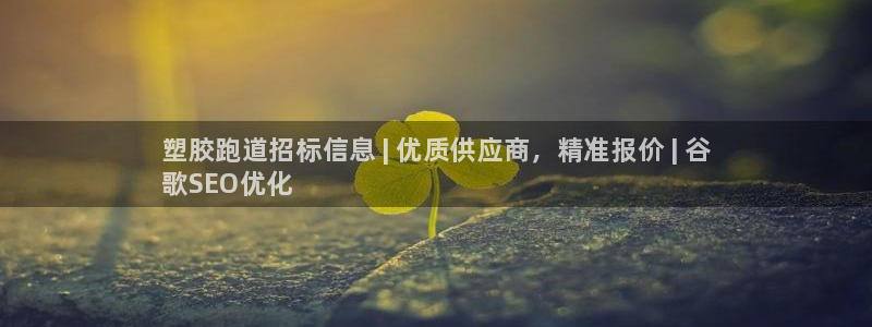 尊龙2020：塑胶跑道招标信息 | 优质供应商，精准