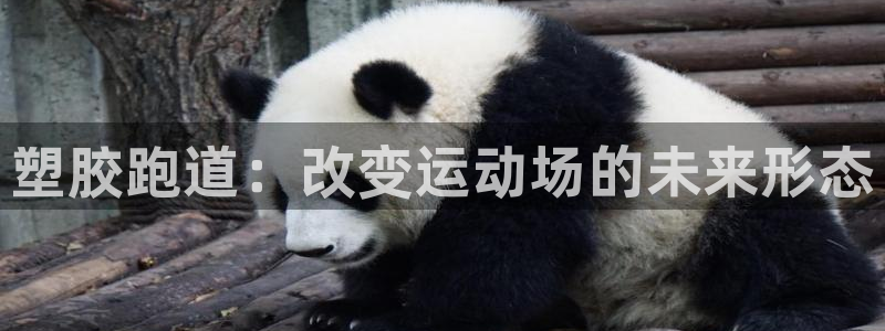 ag尊龙凯时俱乐部