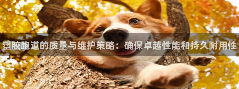 尊龙 国外：塑胶跑道的质量与维护策略：确保卓越性能和