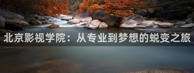 奇奇网影院