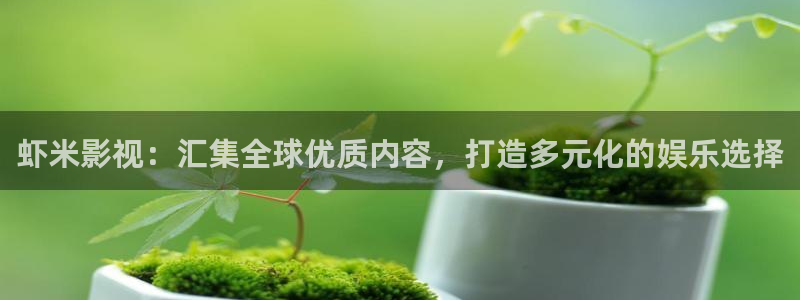 米奇奇米影视
