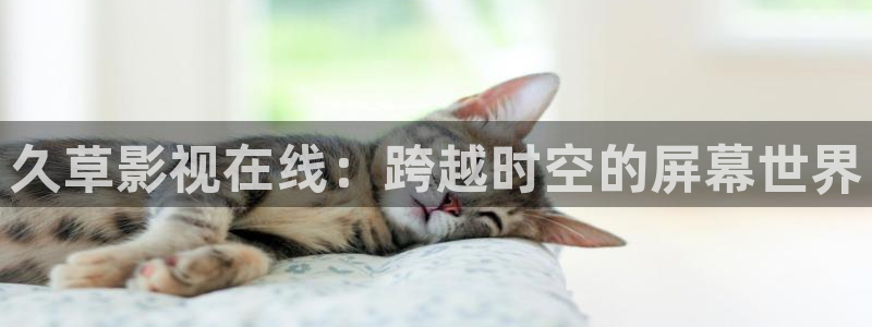 妈妈的朋友奇奇影院