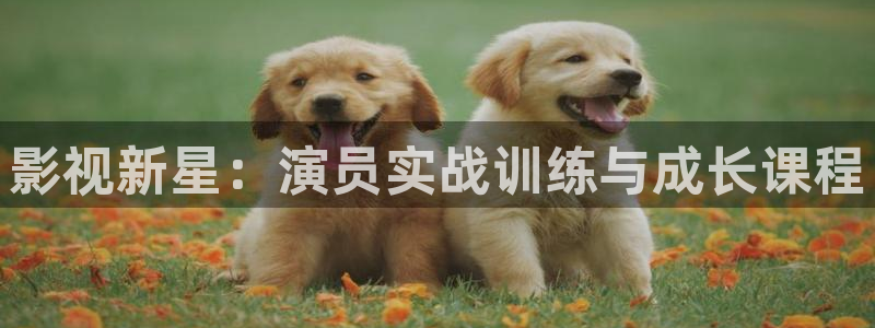 不卡神马奇奇影院